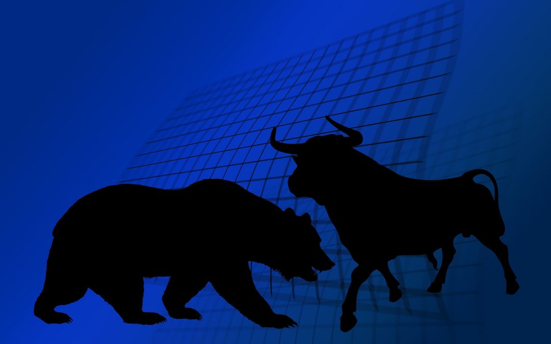 Bull versus Bear Economy and Markets